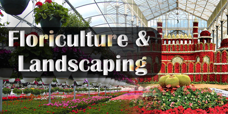 Floriculture & Landscaping