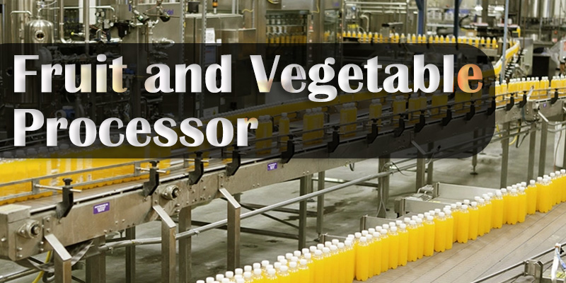 Fruit and Vegetable Processor