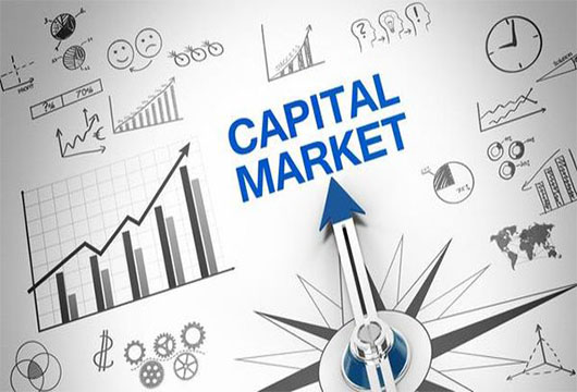 PROFESSIONAL CERTIFICATE IN CAPITAL MARKETS