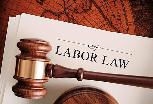 PROFESSIONAL CERTIFICATE IN INDUSTRIAL RELATIONS AND LABOUR LAWS