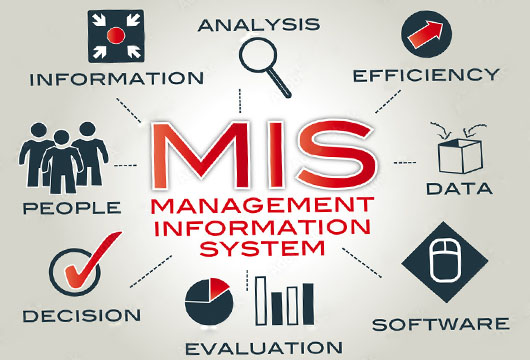 PROFESSIONAL CERTIFICATE IN MANAGEMENT INFORMATION SYSTEMS