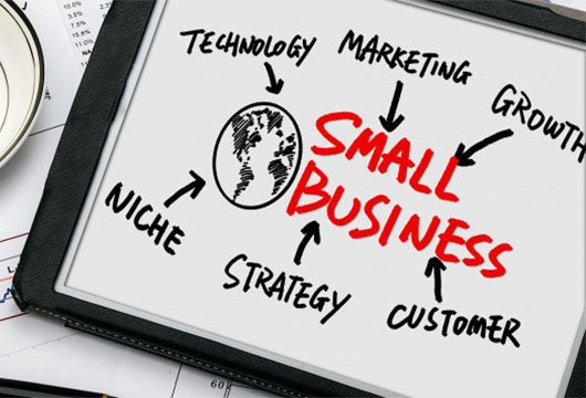 PROFESSIONAL CERTIFICATE IN SMALL BUSINESS MANAGEMENT & STRATEGIES