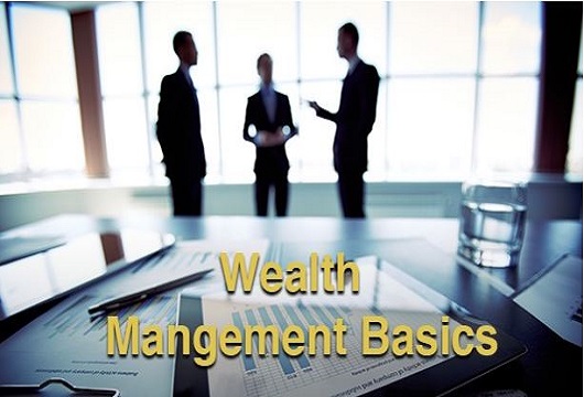 WEALTH MANAGEMENT BASICS