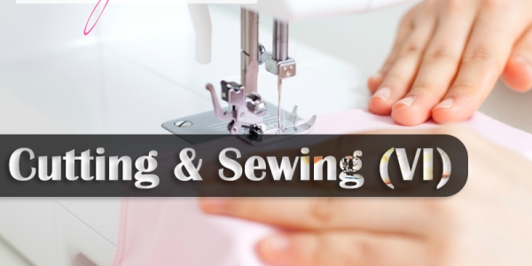 ITI Trade Cutting & Sewing (VI)