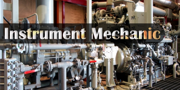 ITI Trade Instrument Mechanic