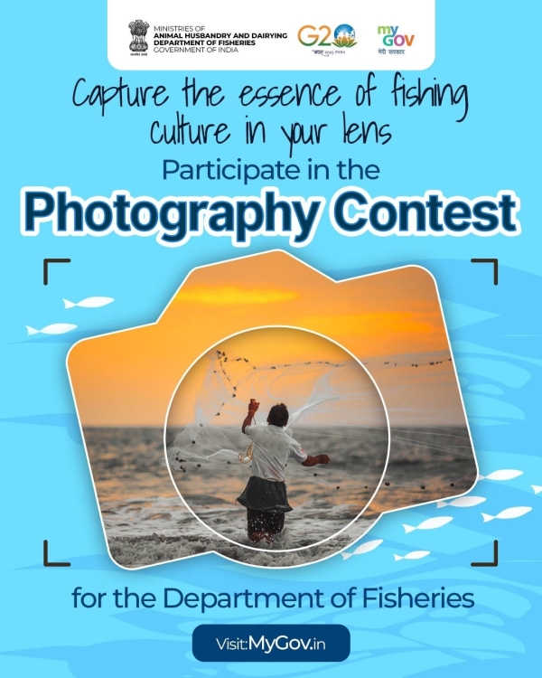  Participate in the Fisheries Photography Contest on MyGov