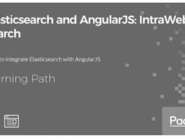 ELASTICSEARCH AND ANGULARJS: INTRAWEB SEARCH