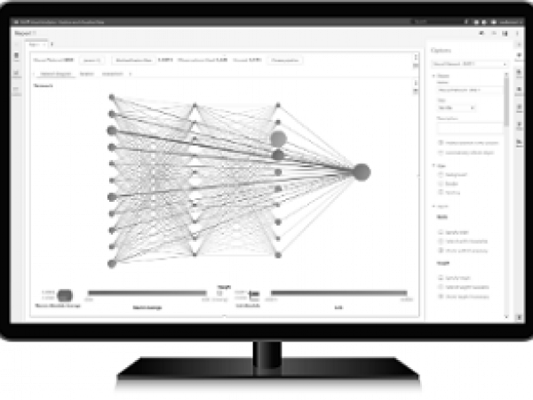 SAS VISUAL ANALYTICS 1 FOR SAS VIYA: BASICS